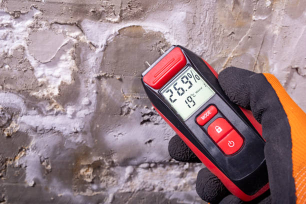 Best HVAC Mold Remediation in Ship Bottom, NJ